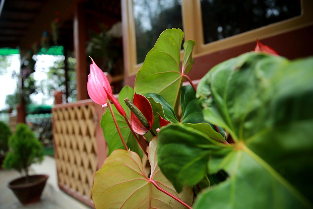 Essence Motel Kalaw Exterior foto